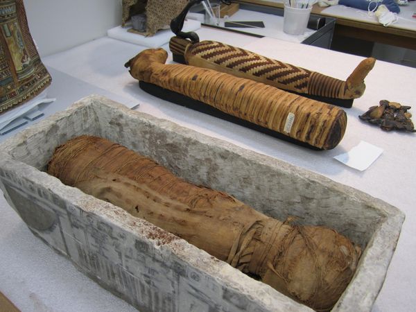 Animal Mummies