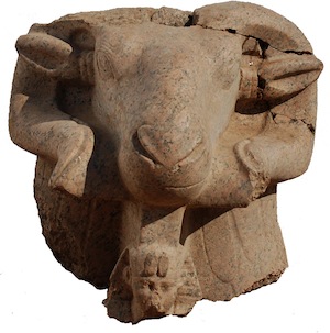 Tah ram head