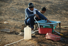 Pot Washing