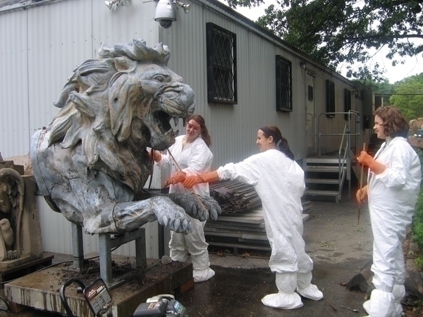 Lion_Cleaning_66.251.1.jpg