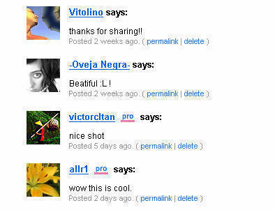 flickr_comments.jpg